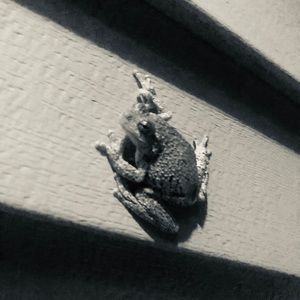 Meet your Posher, Stephen